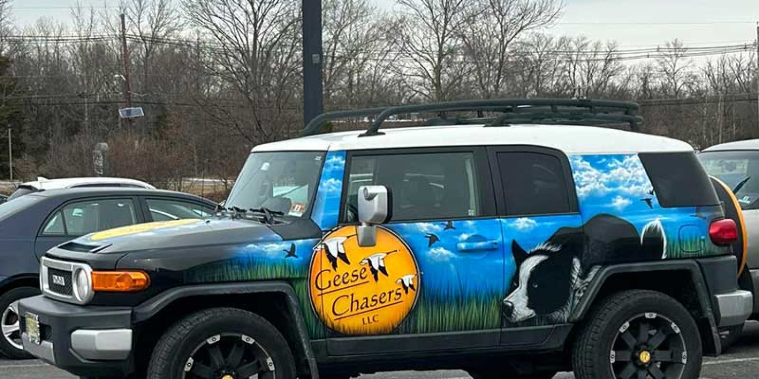 Geese Chasers: Franchise Growth Soars After Strategic Partnership with FranNet