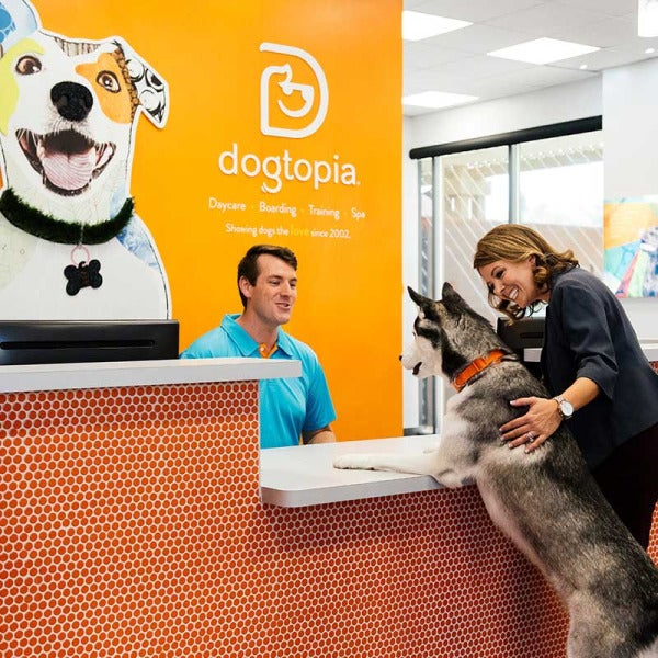 Neil Gill Leads Dogtopia's Ambitious Expansion into New Era of Pet Wellness Neil Gill Leads Dogtopia's Ambitious Expansion into New Era of Pet Wellness