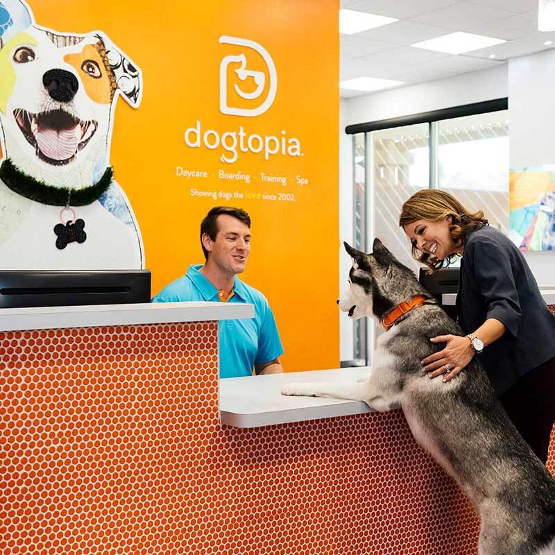 Dogtopia: How the Premier Dog Daycare Franchise Is Making Tails Wag Across the Nation Dogtopia: How the Premier Dog Daycare Franchise Is Making Tails Wag Across the Nation