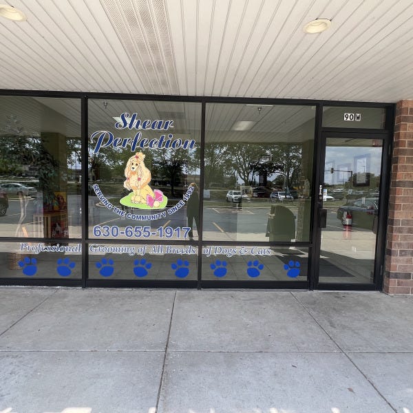 Vinyl Letters