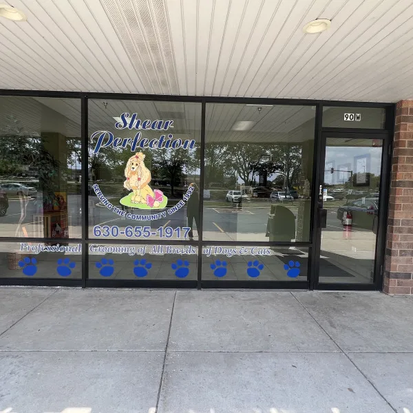 Vinyl Letters
