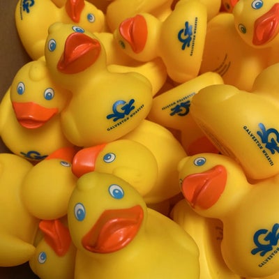 https://cdn.gorilladash.com/images/media/13812443/fully-promoted-usa-ducking-awesome-promos-square-66c64679b55af.jpg?auto=webp&crop=1%3A1%2Csmart&width=400