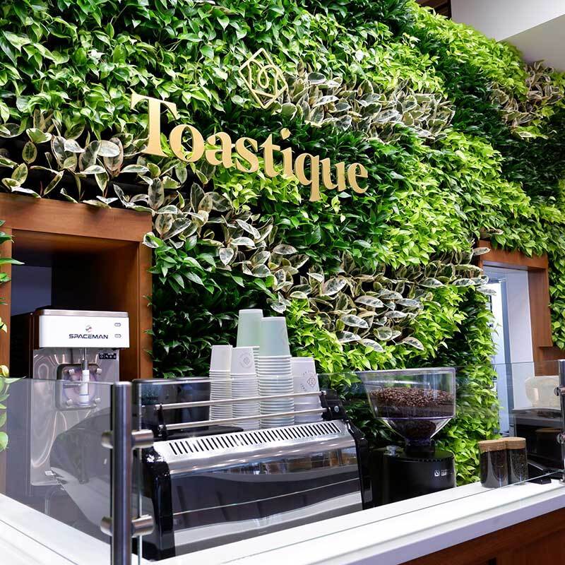 Toastique Announces Texas Takeover: Gourmet Toast Haven Set to Revolutionize Breakfast Scene in Laredo