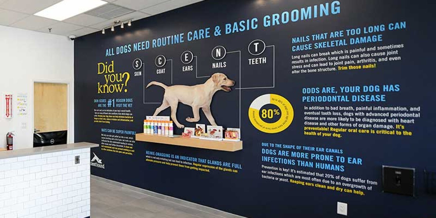 Scenthound Jupiter Flagship Location Reopens with Advanced Wellness Technology Scenthound Jupiter Flagship Location Reopens with Advanced Wellness Technology