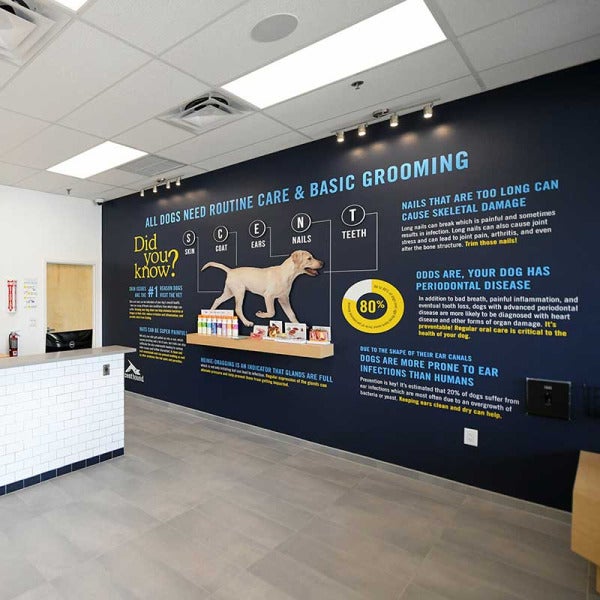 Scenthound’s New COO Josh Lyon: Can He Sniff Out Success? Scenthound’s New COO Josh Lyon: Can He Sniff Out Success?
