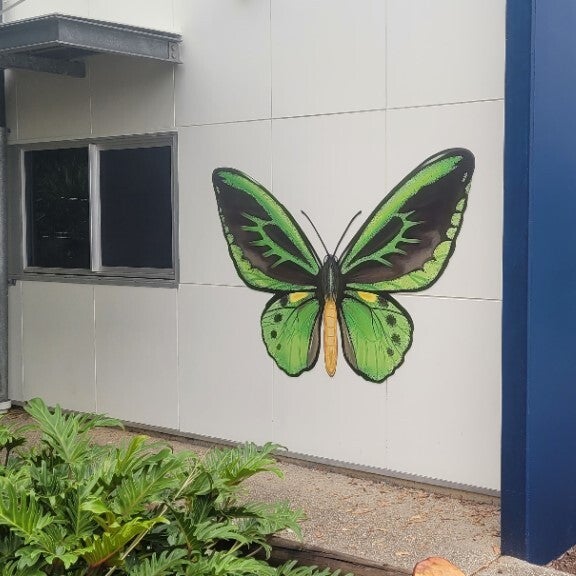 School Butterfly Sign - Varsity College Varsity Lakes