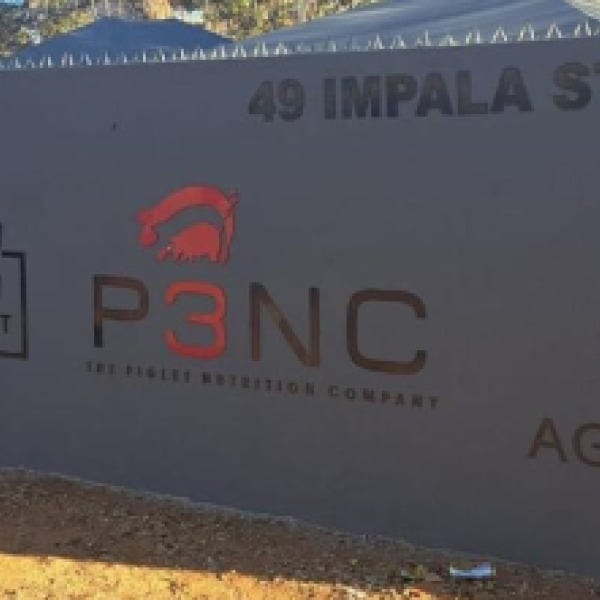 49 Impala wall signs