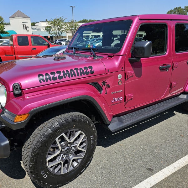 Personal Vehicle Customization