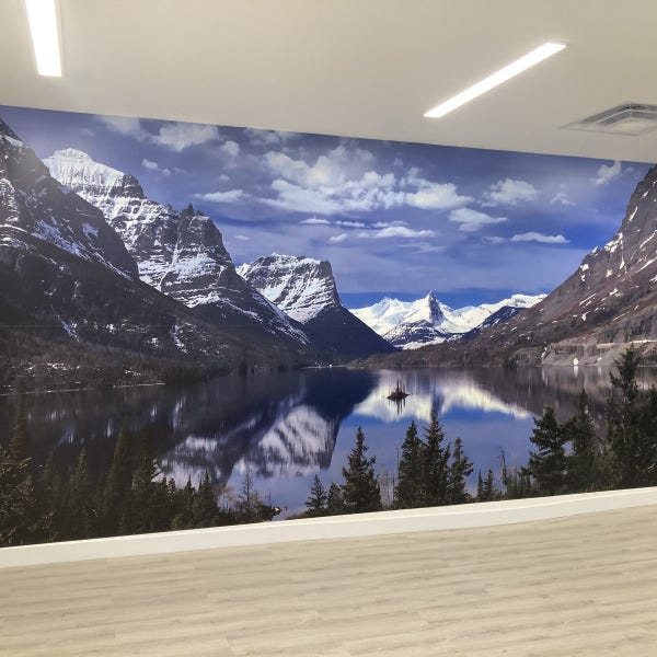 FREYER-Wall-Mural