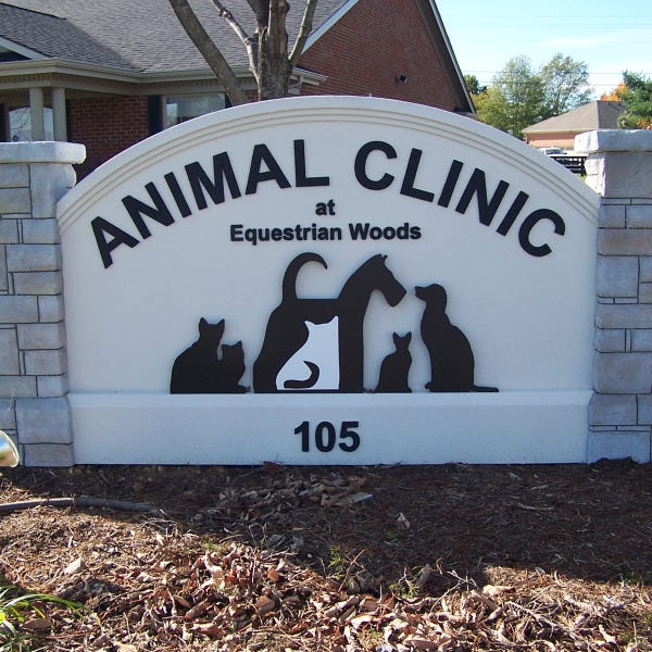 Animal-Clinic-at-Equestrian-Woods