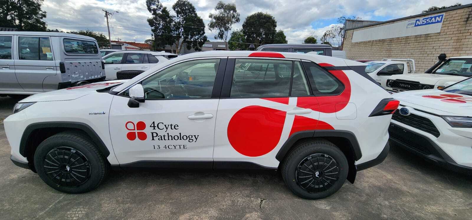 Vehicle Graphics | Signarama Kew