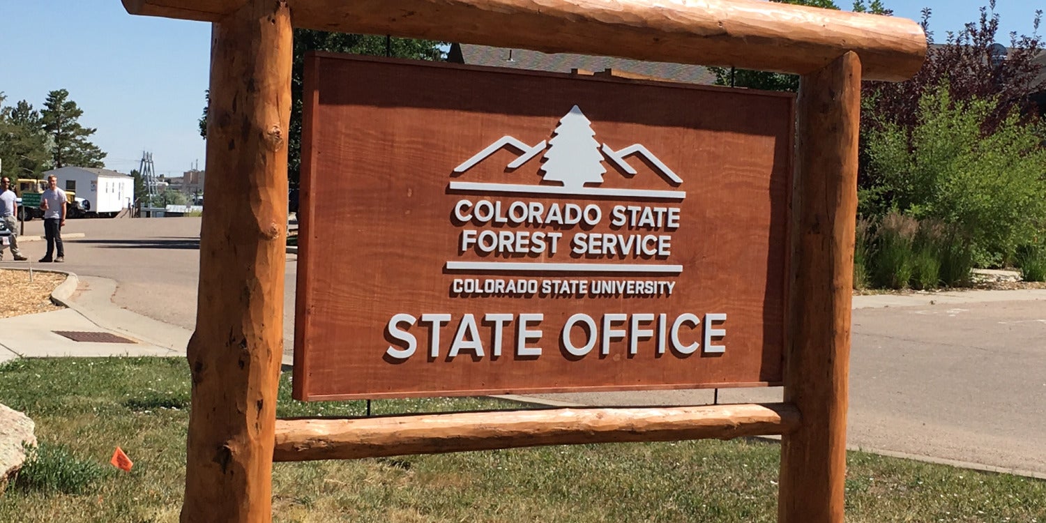 Custom Signs