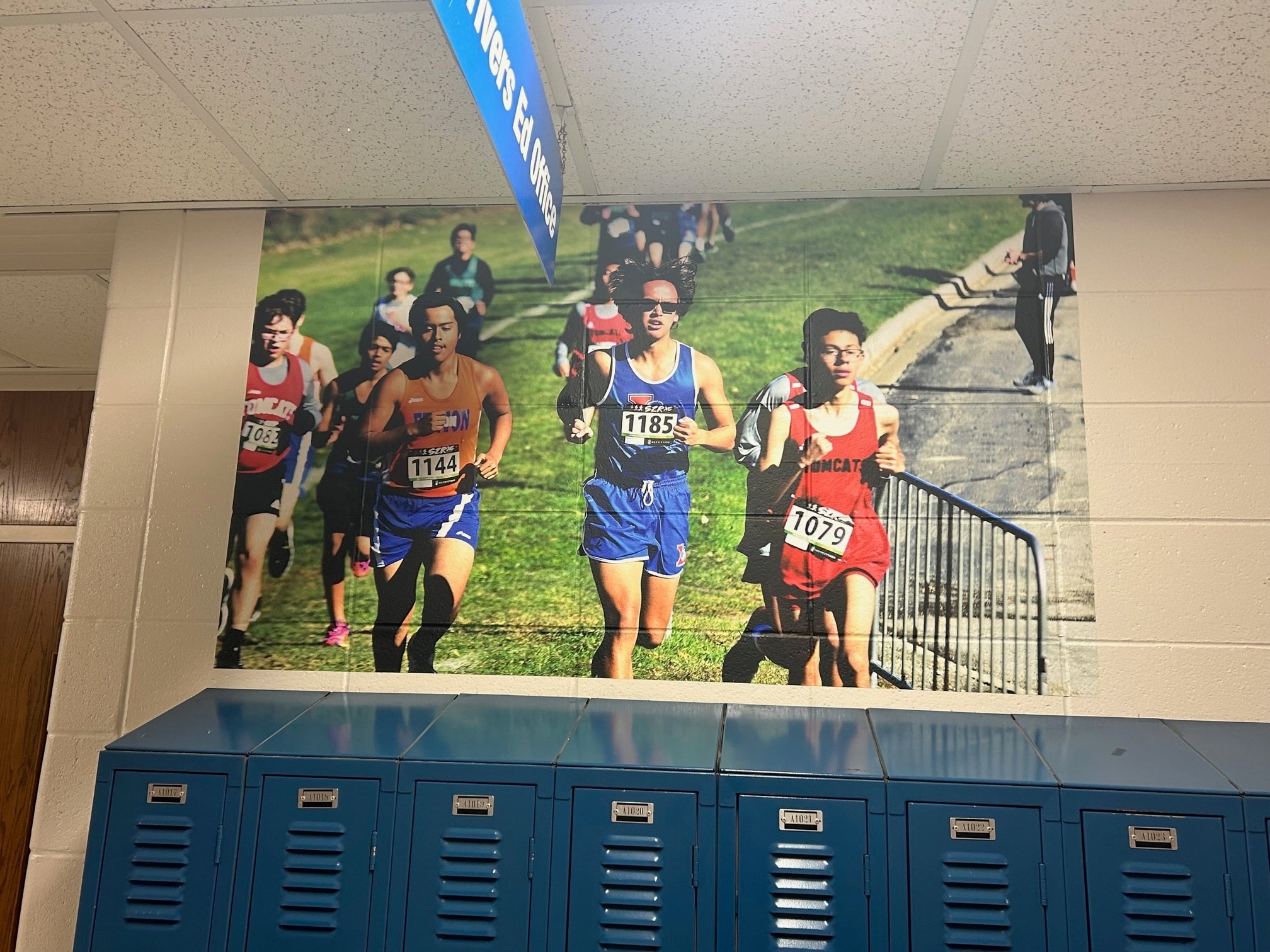 Vinyl Graphic Wall Murals