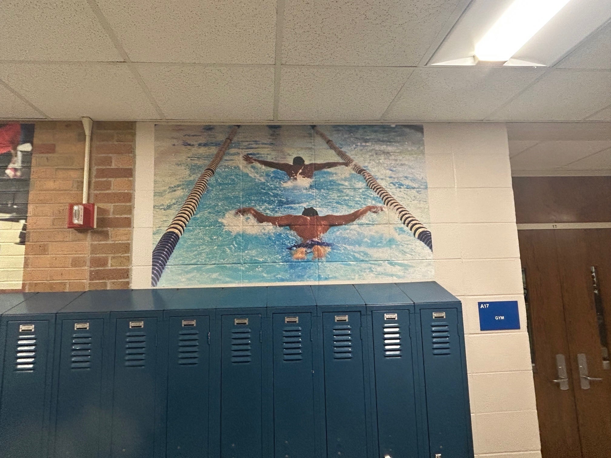 Vinyl Graphic Wall Murals