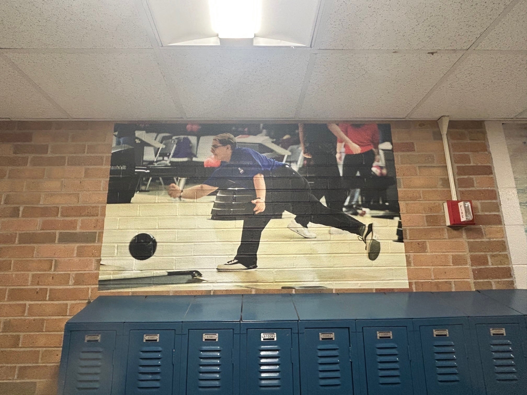 Vinyl Graphic Wall Murals