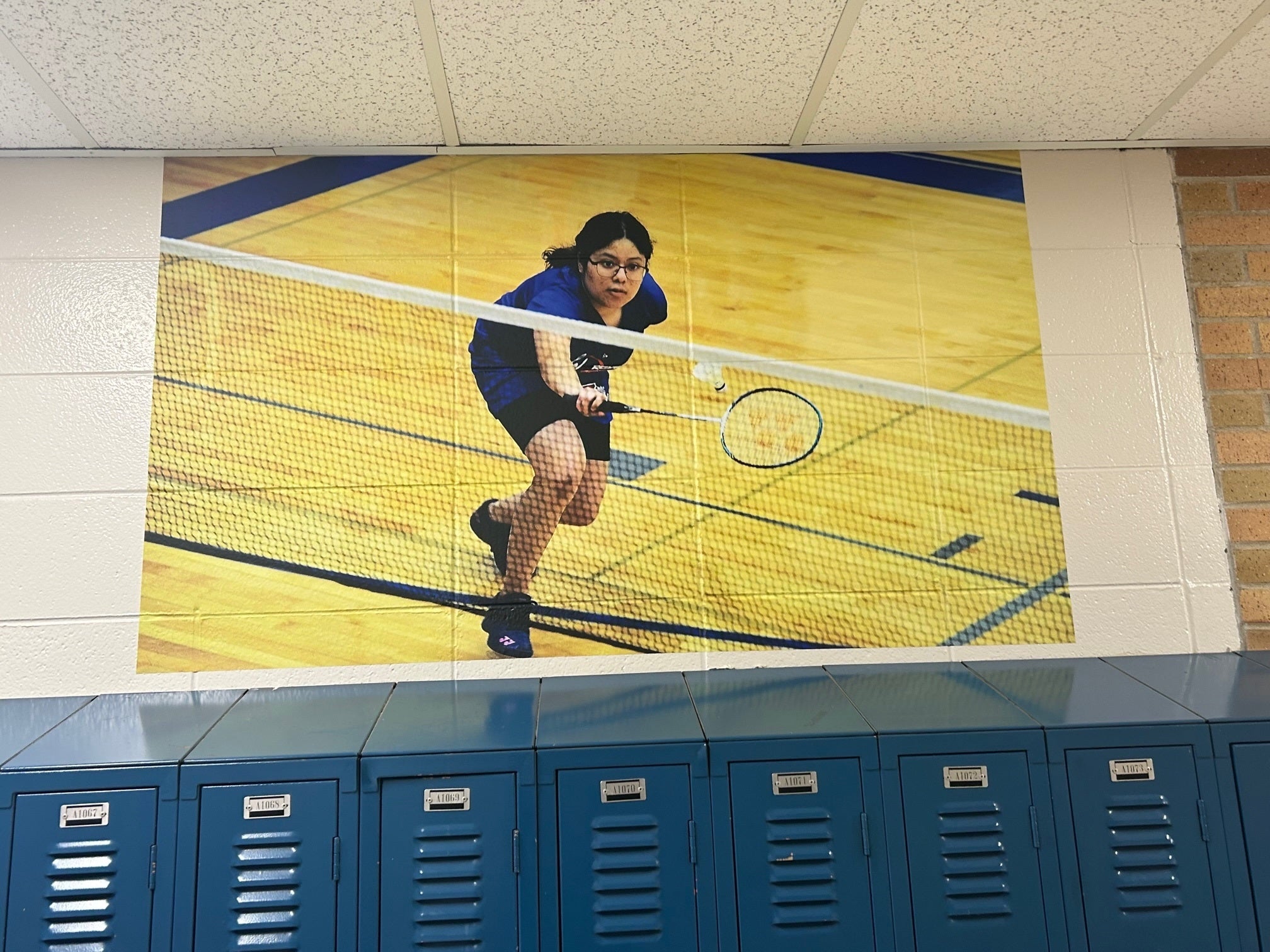 Vinyl Graphic Wall Murals
