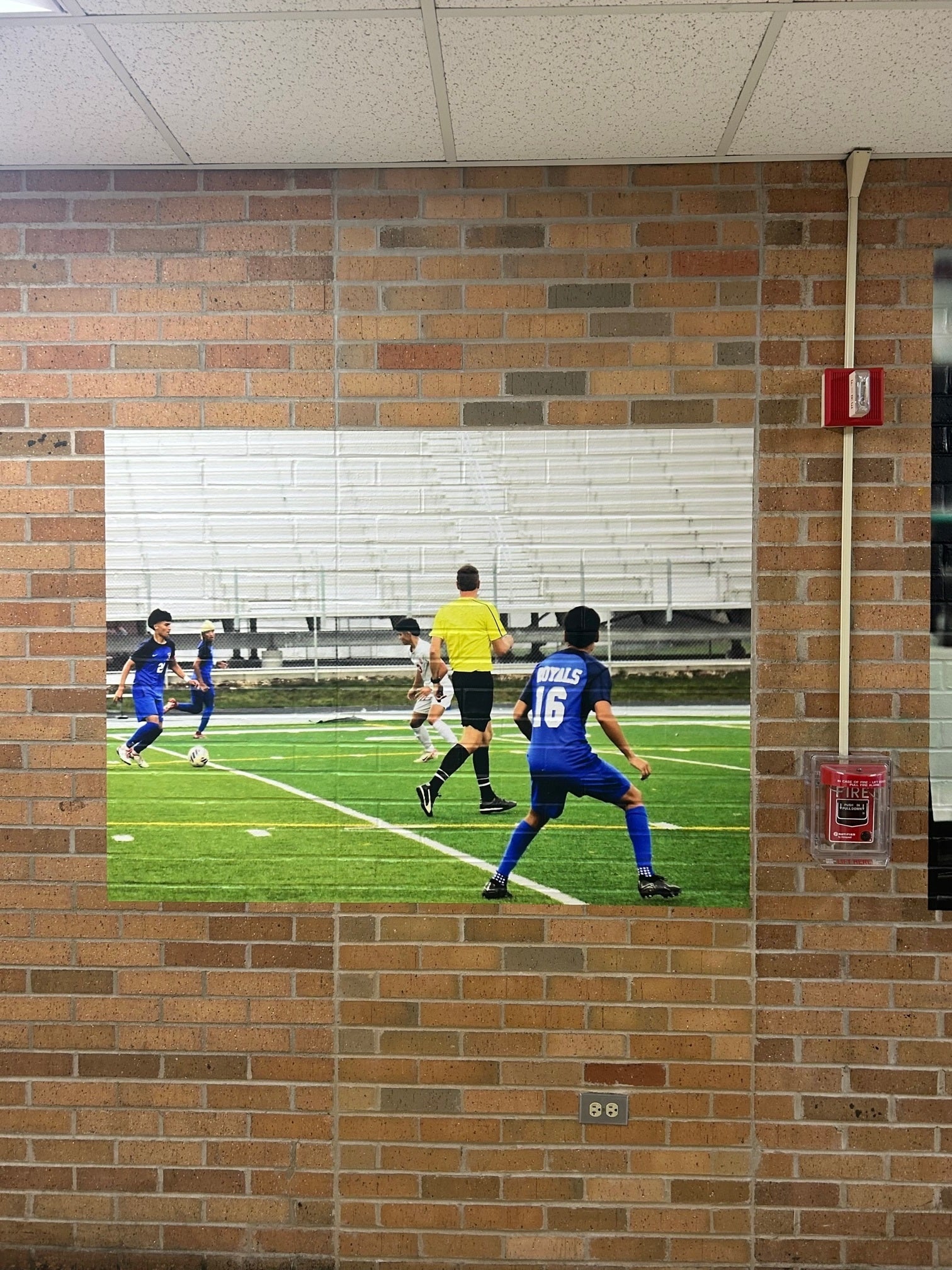 Vinyl Graphic Wall Murals