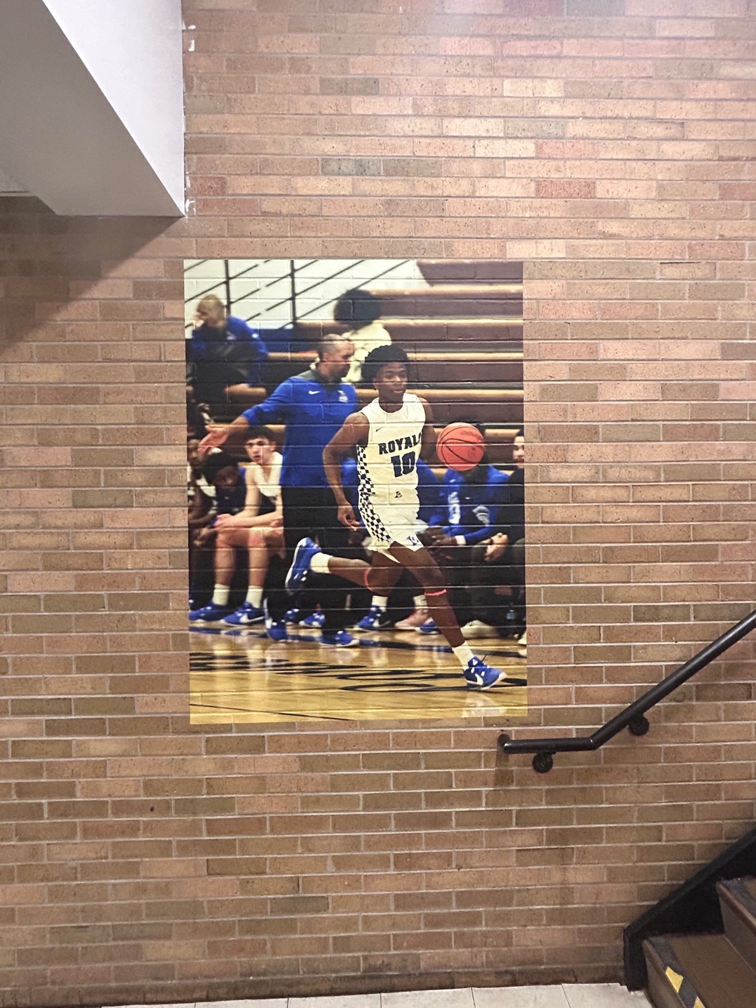 Vinyl Graphic Wall Murals