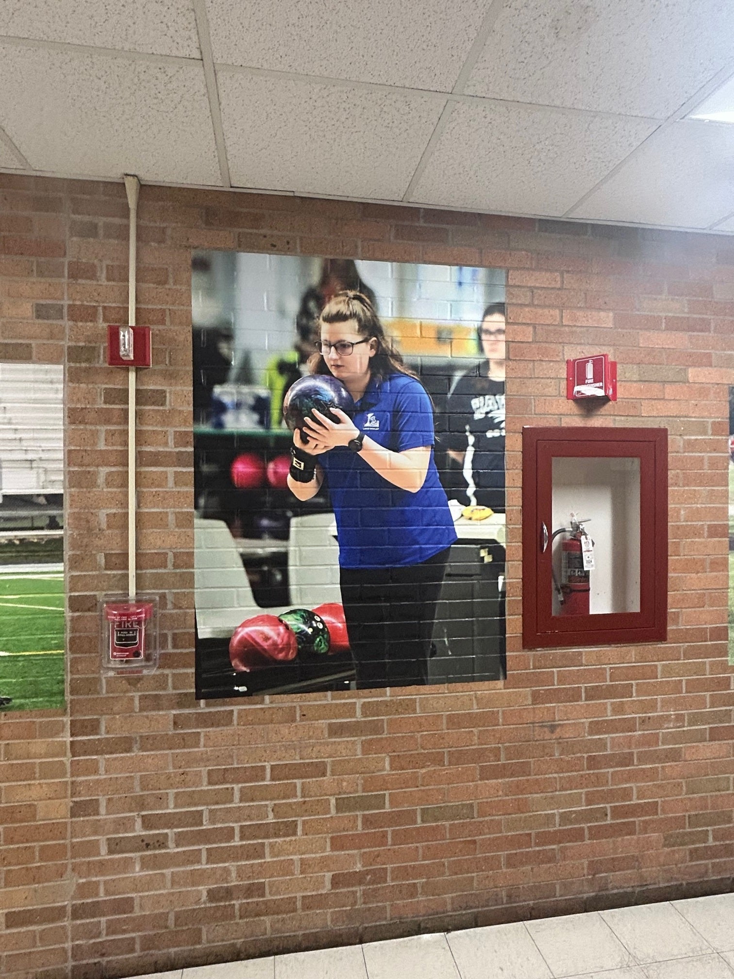 Vinyl Graphic Wall Murals