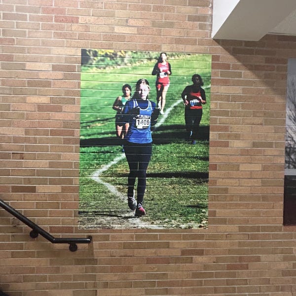Larkin HS Wall Mural Cross Country Girls