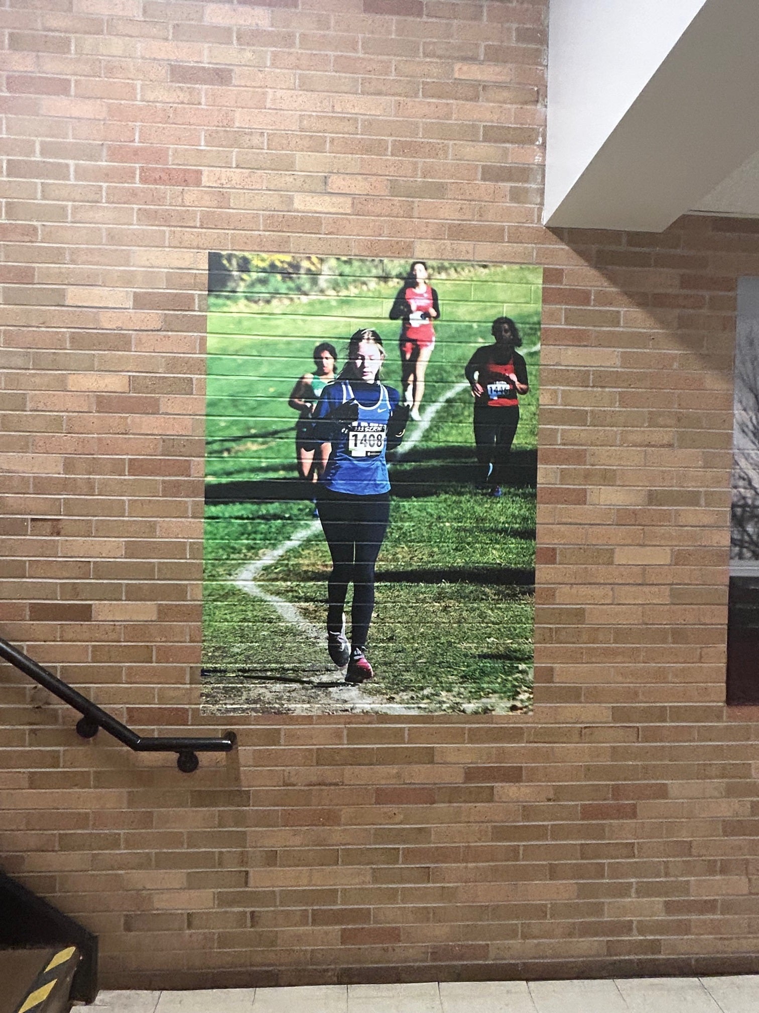 Vinyl Graphic Wall Murals