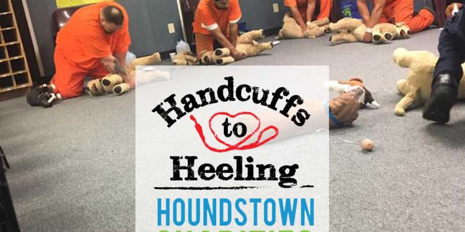Hounds Town USA Celebrates 20 Years of Pup-tastic Adventures in Ronkonkoma Hounds Town USA Celebrates 20 Years of Pup-tastic Adventures in Ronkonkoma