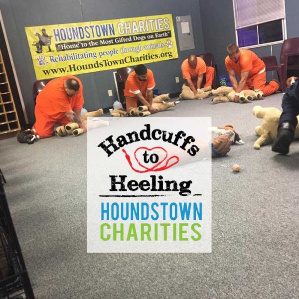 Hounds Town USA Celebrates 20 Years of Pup-tastic Adventures in Ronkonkoma