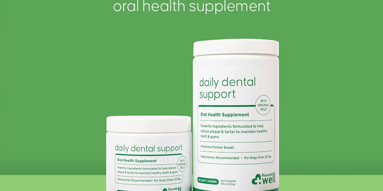 Scenthound Unleashes Daily Dental Support: Innovation for Pups' Pearly Whites at Scenters