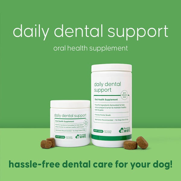 Scenthound Unleashes Daily Dental Support: Innovation for Pups' Pearly Whites at Scenters