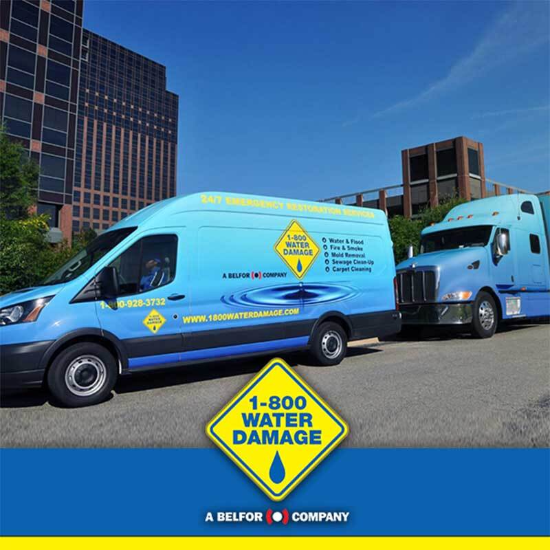 The Feldman Twins: Twinning in Business with 1-800 WATER DAMAGE Franchise Expansion in Northern Bergen/Rockland The Feldman Twins: Twinning in Business with 1-800 WATER DAMAGE Franchise Expansion in Northern Bergen/Rockland