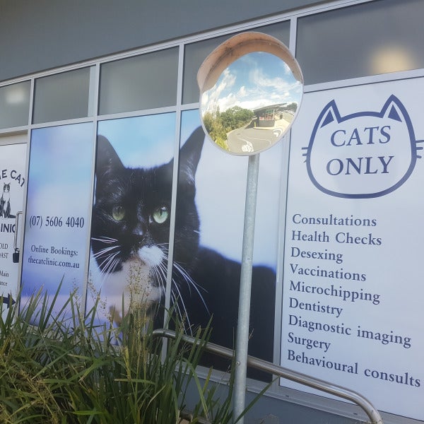 Pawsitively purrfect window signage!
