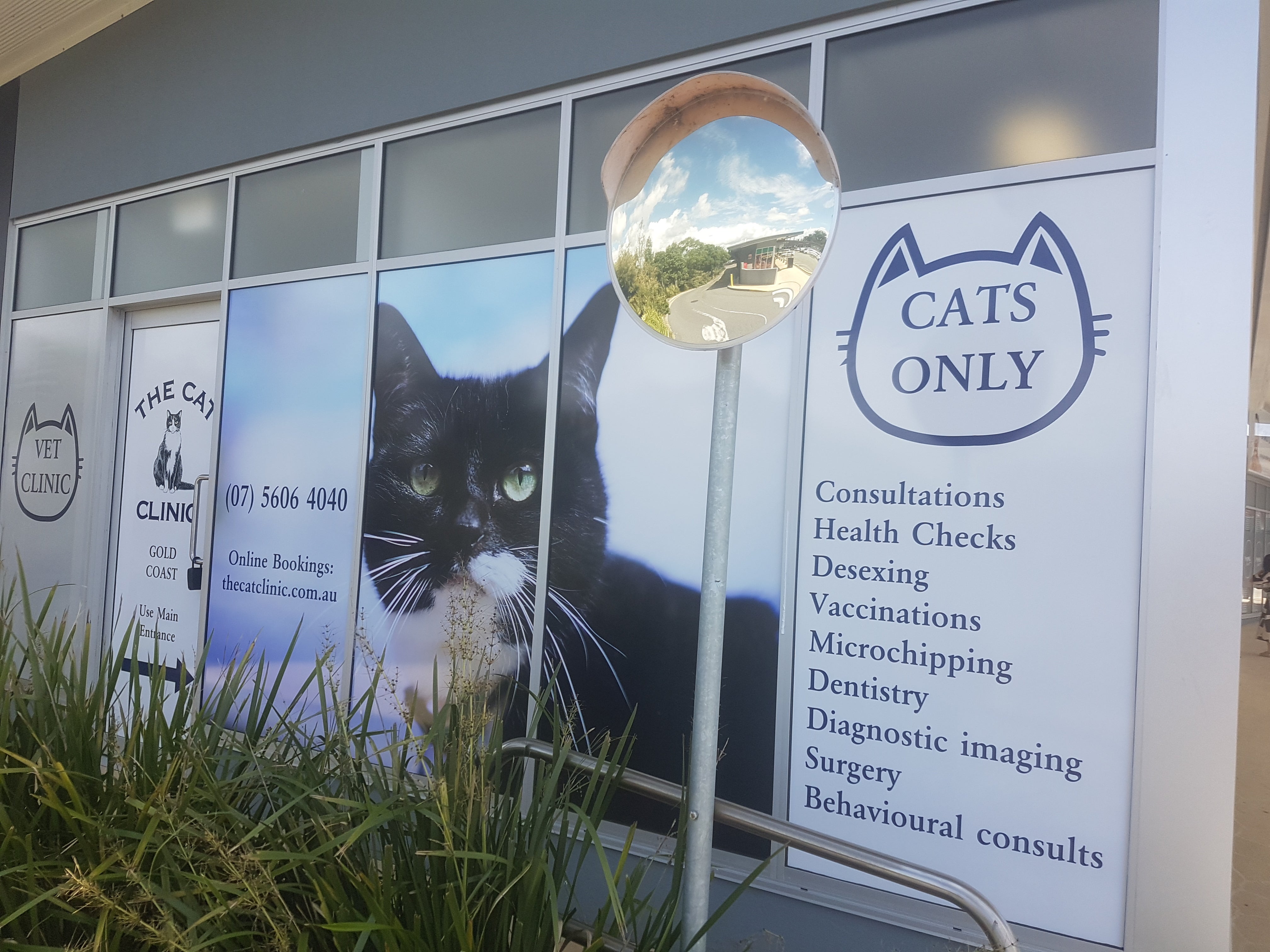 Pawsitively purrfect window signage!