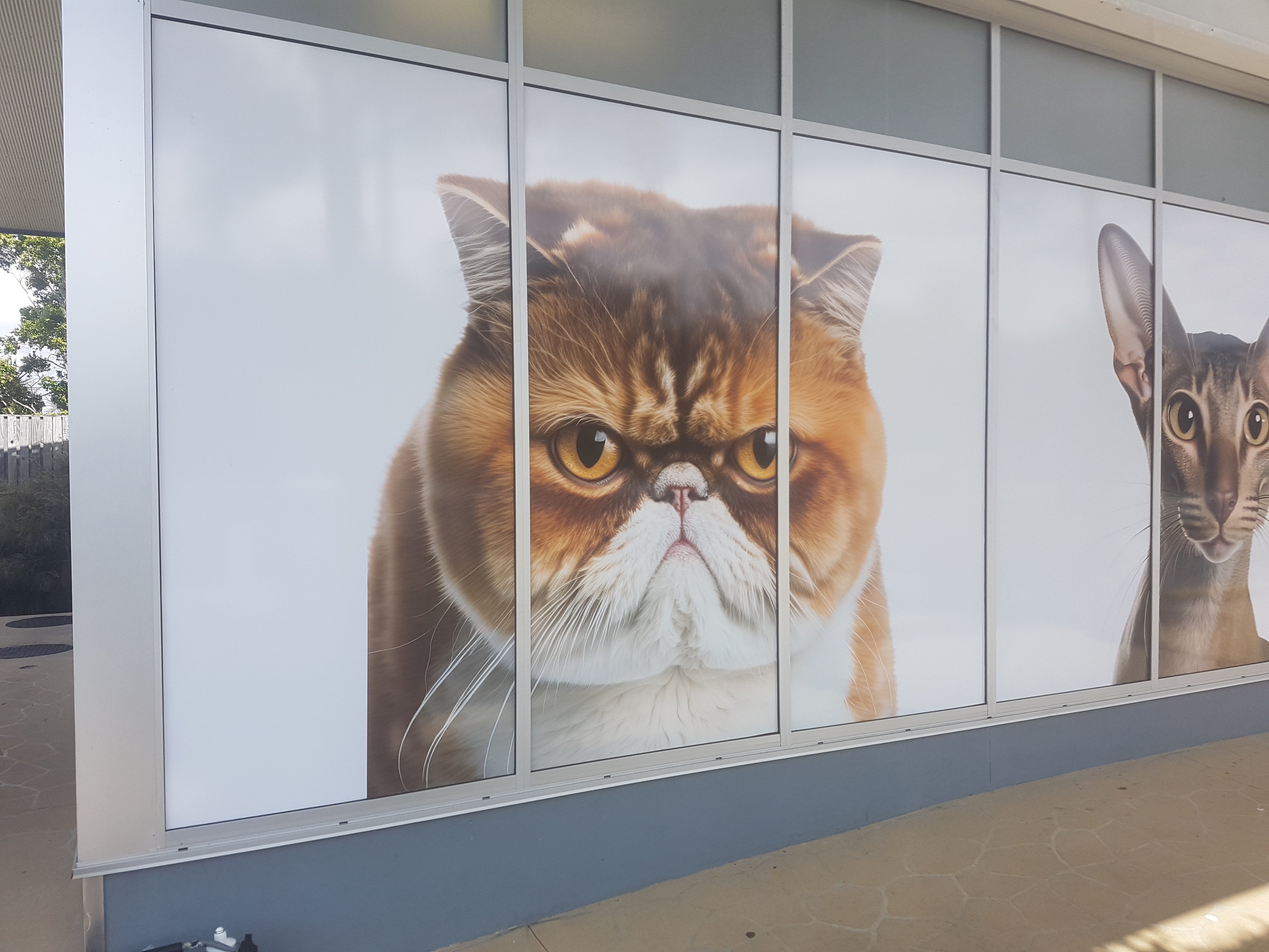 Pawsitively purrfect window signage!