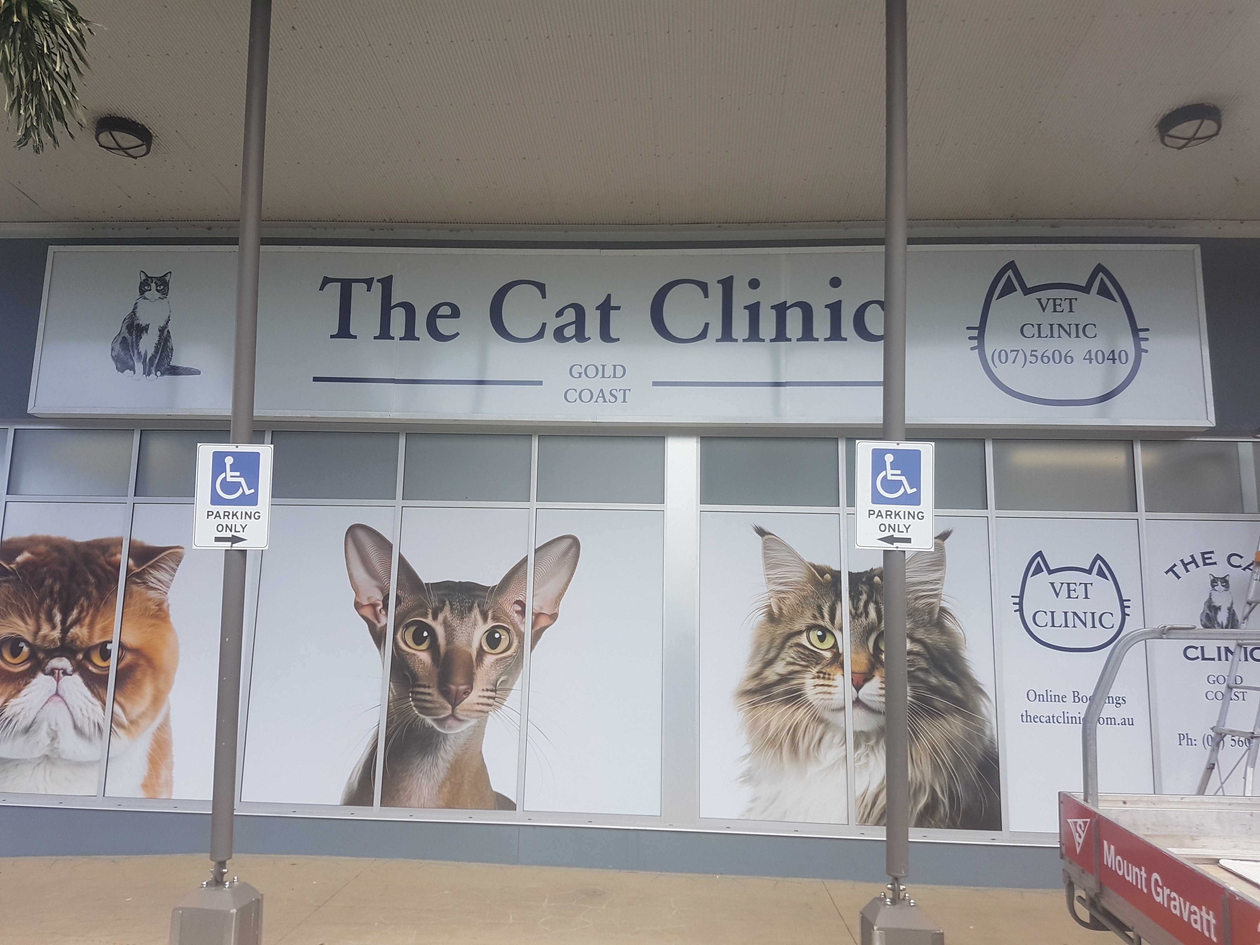 Pawsitively purrfect window signage!