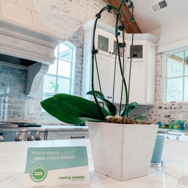 Merry Maids: Revolutionizing the Cleaning Industry with Innovative eCommerce Platform Merry Maids: Revolutionizing the Cleaning Industry with Innovative eCommerce Platform