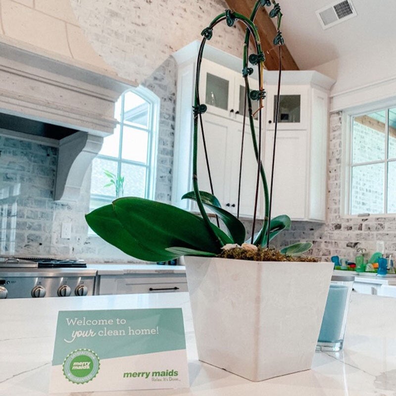 Merry Maids: Revolutionizing the Cleaning Industry with Innovative eCommerce Platform Merry Maids: Revolutionizing the Cleaning Industry with Innovative eCommerce Platform