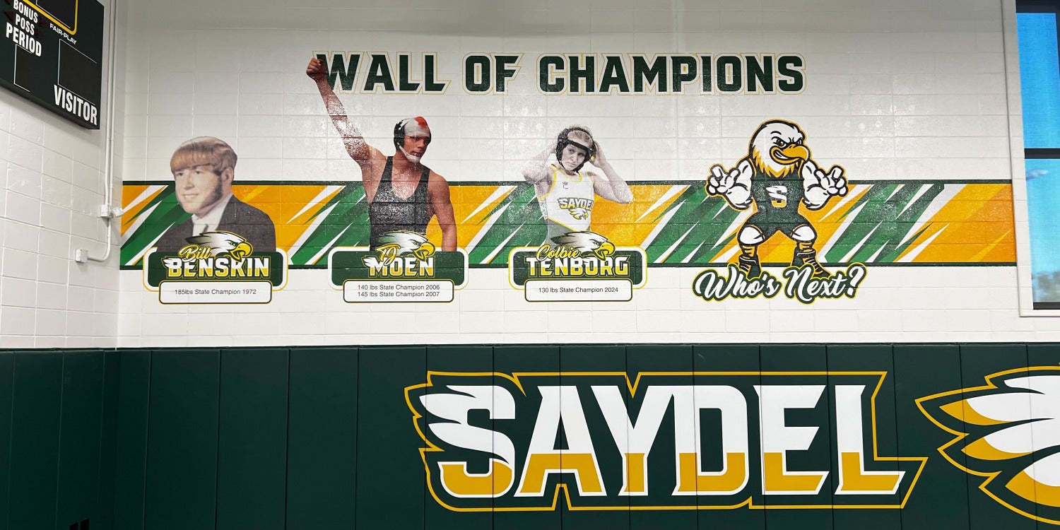 Custom Wall Murals