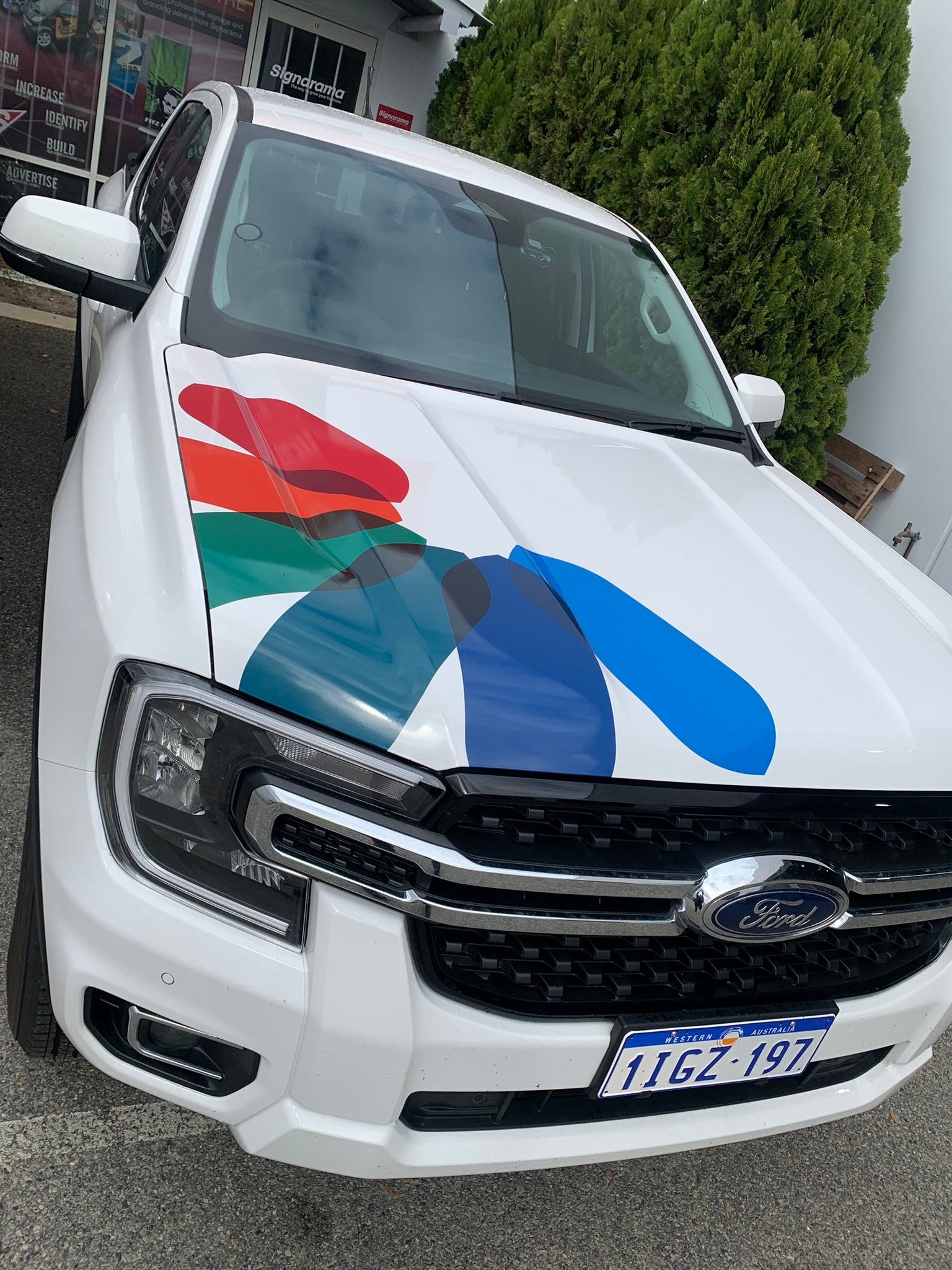 Vehicle Graphics