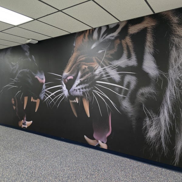 Frenship ISD Admin Bldg 3