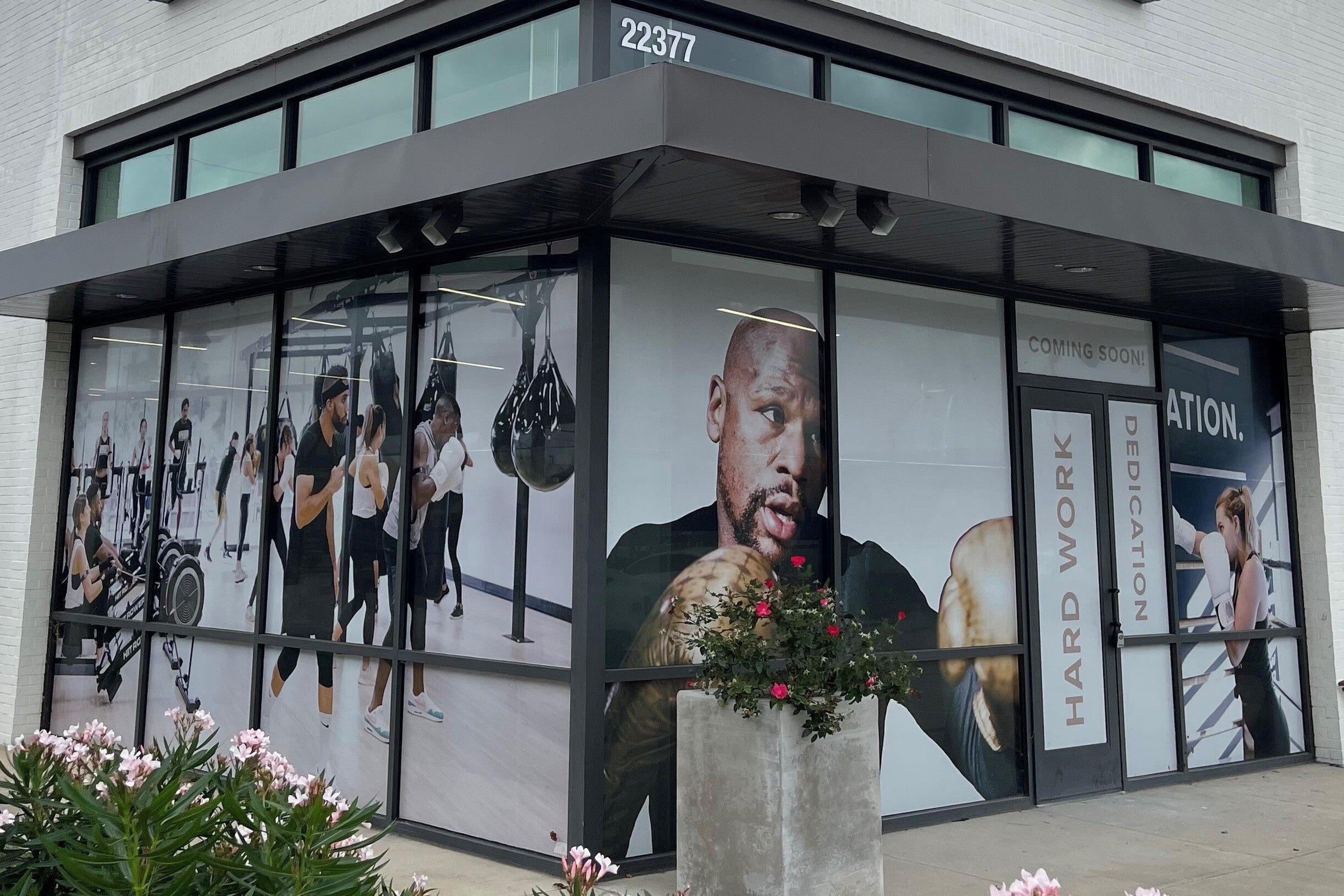 Perforated Window Graphics for Creative Branding and Privacy!