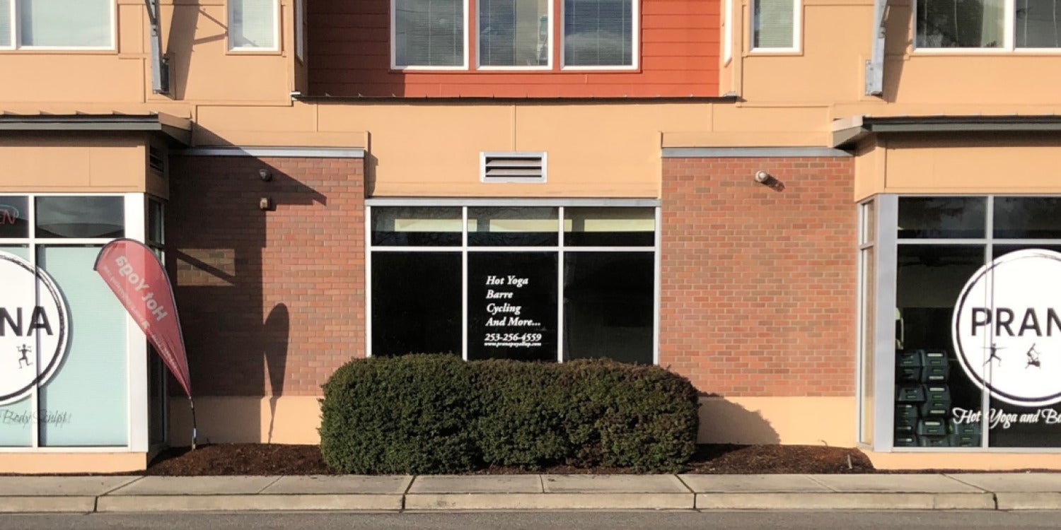 Storefront Window Graphics