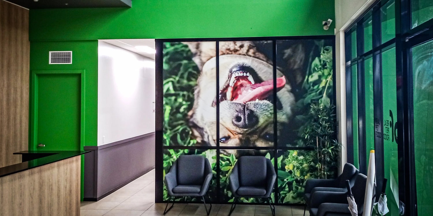 Window Graphics