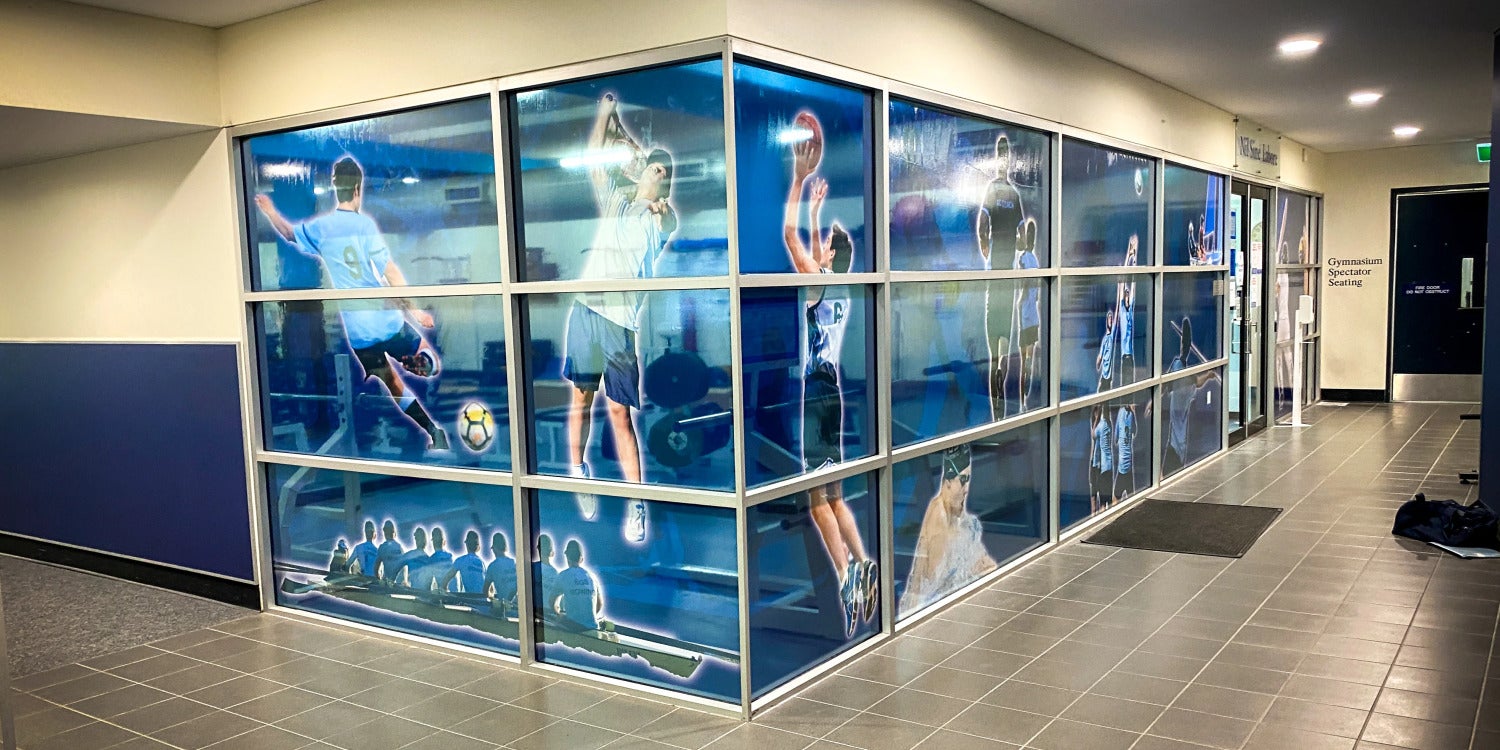 Window Graphics