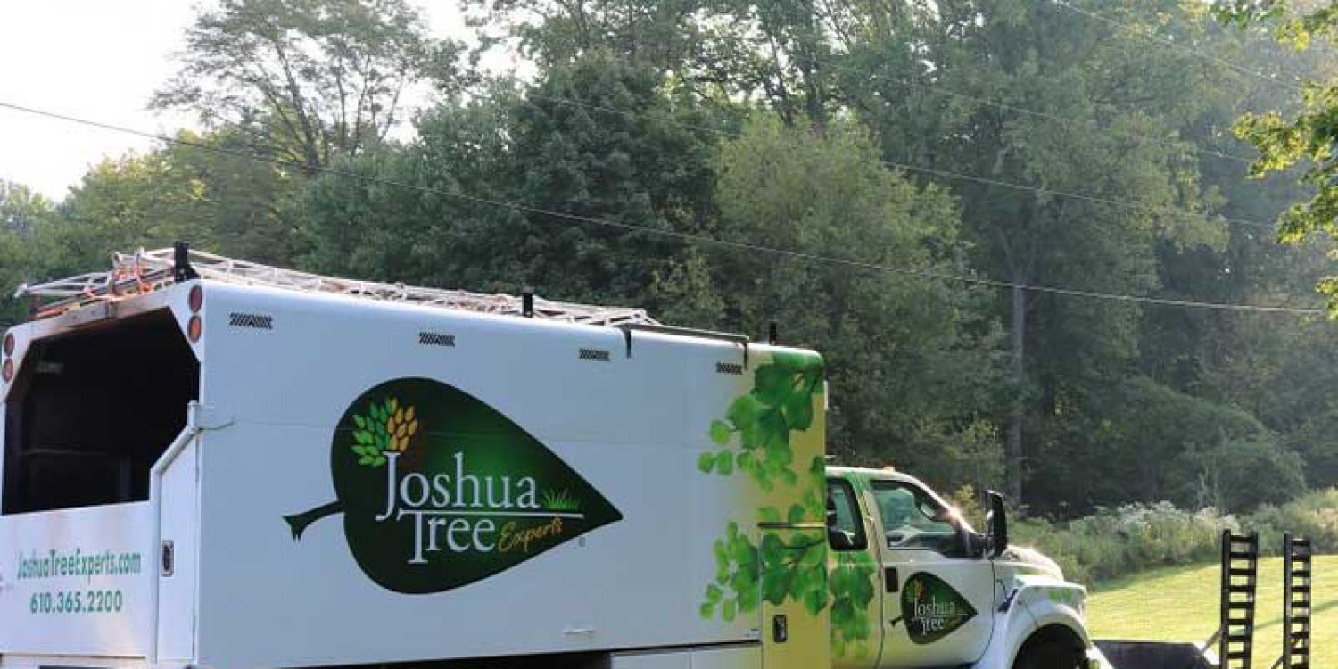 Joshua Tree Experts: Bringing Green Magic to Chicago's North Shore in Spring 2025
