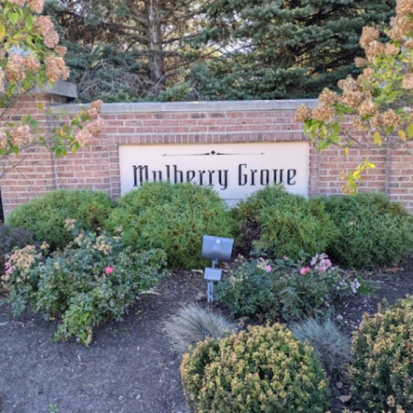 Mulberry Grove