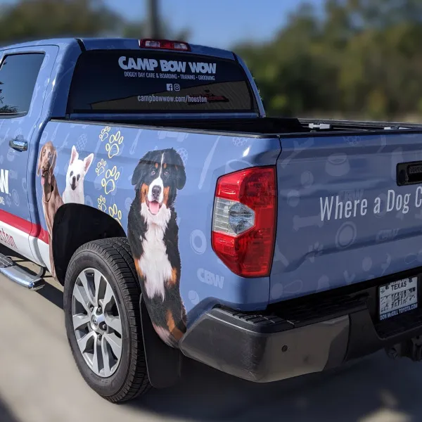 vehicle wrap 2