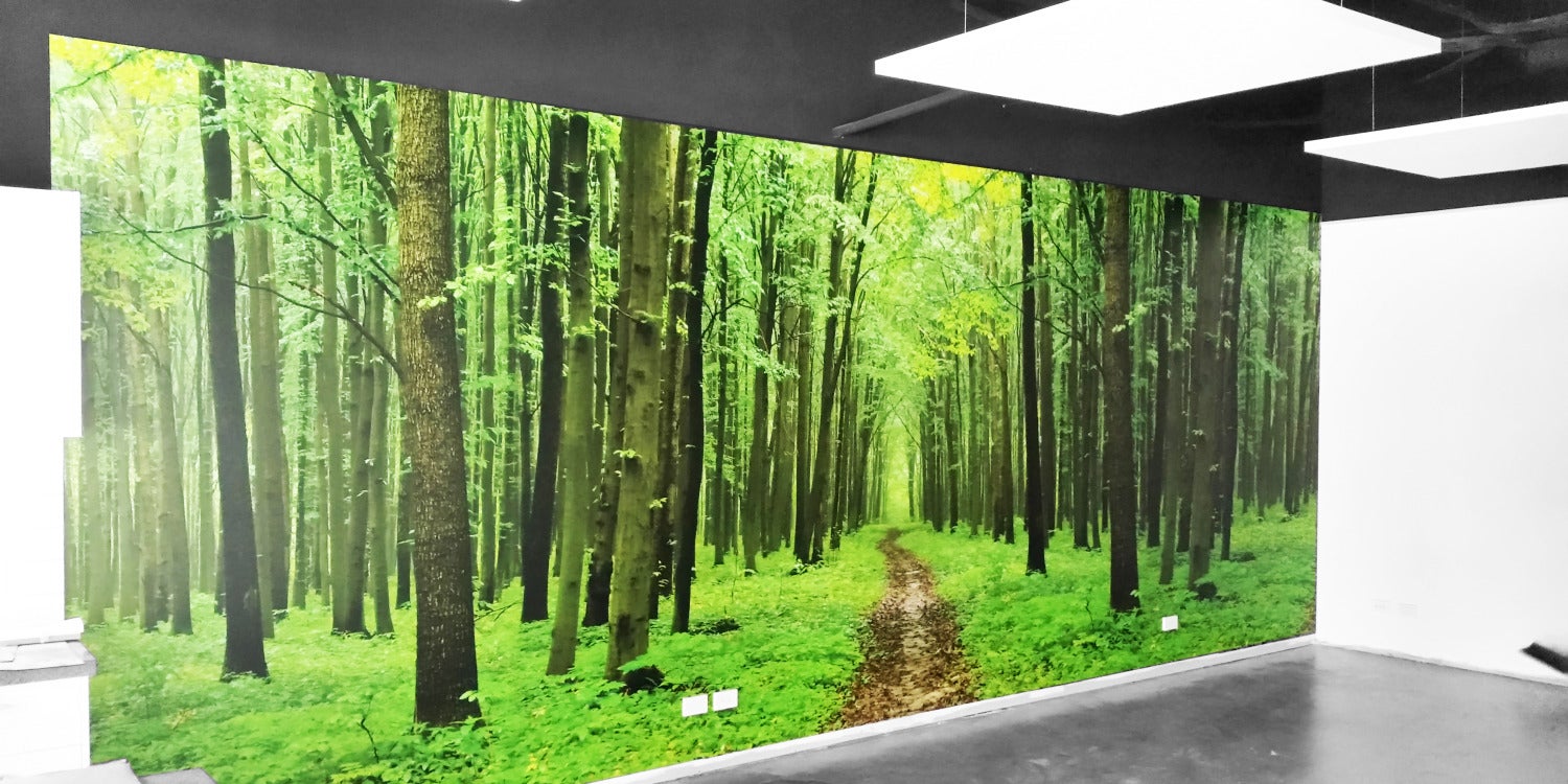 Wall Graphics