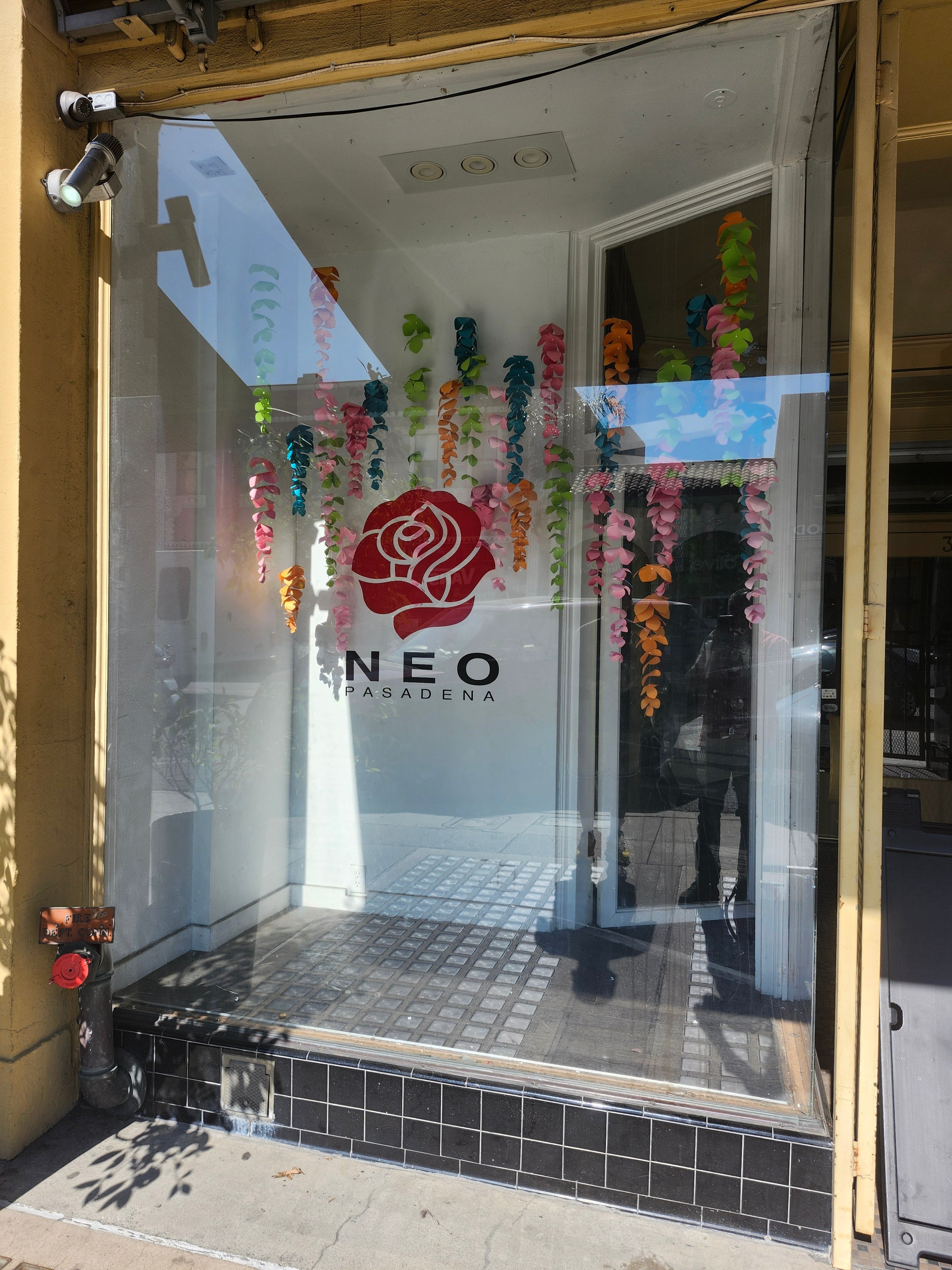 Window Signs & Signage