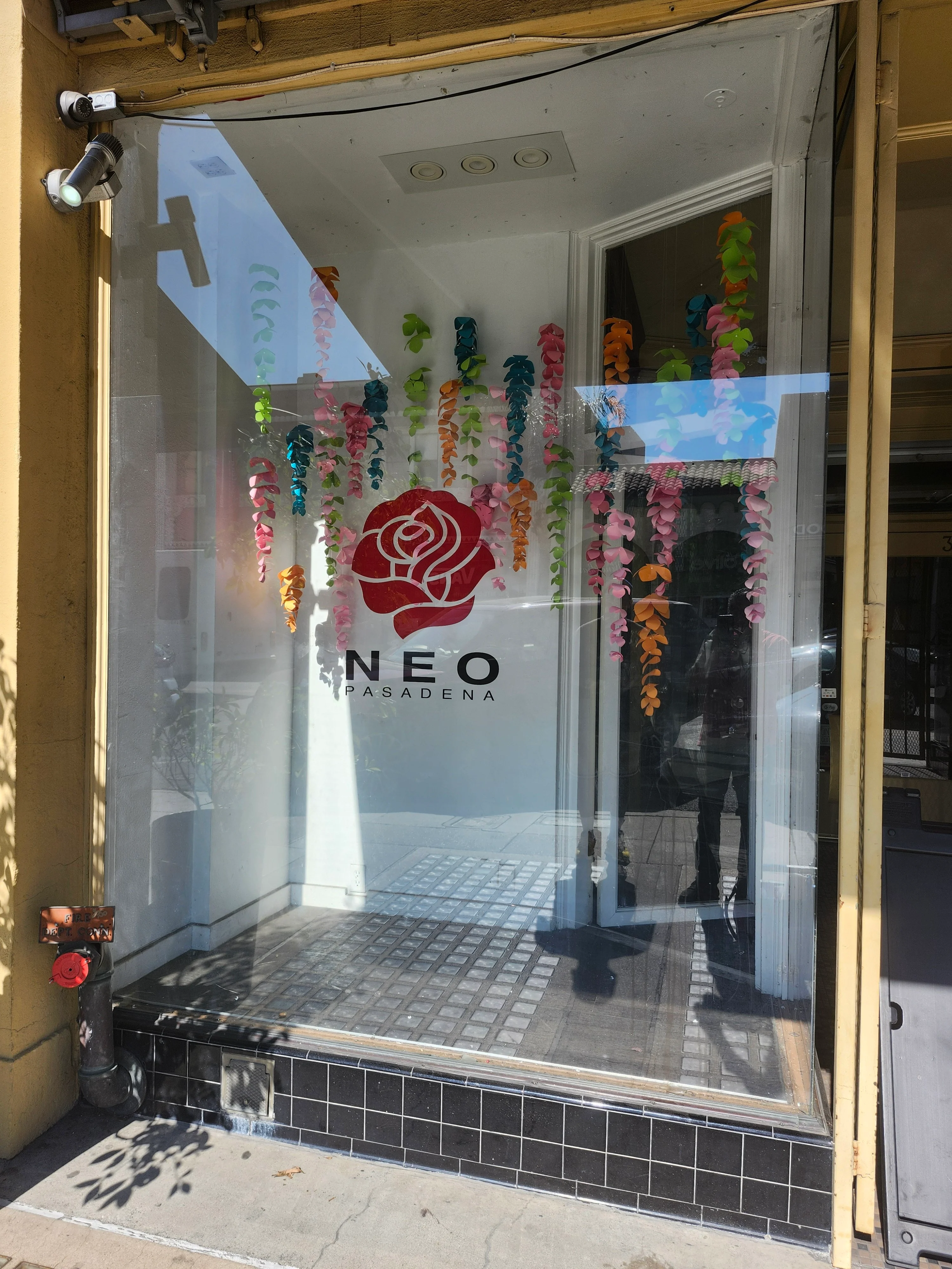 Window Signs & Signage