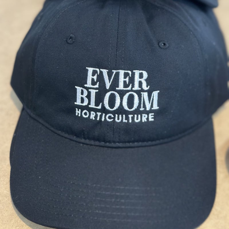 Fully Promoted Hawthorn